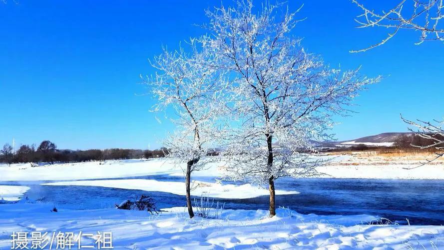 草原雄鹰诗社2022第50期同题作品展播——作者/草原雄鹰诗社诗人