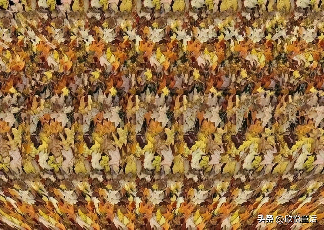 斑点狗正面照,斑点狗的真实资料