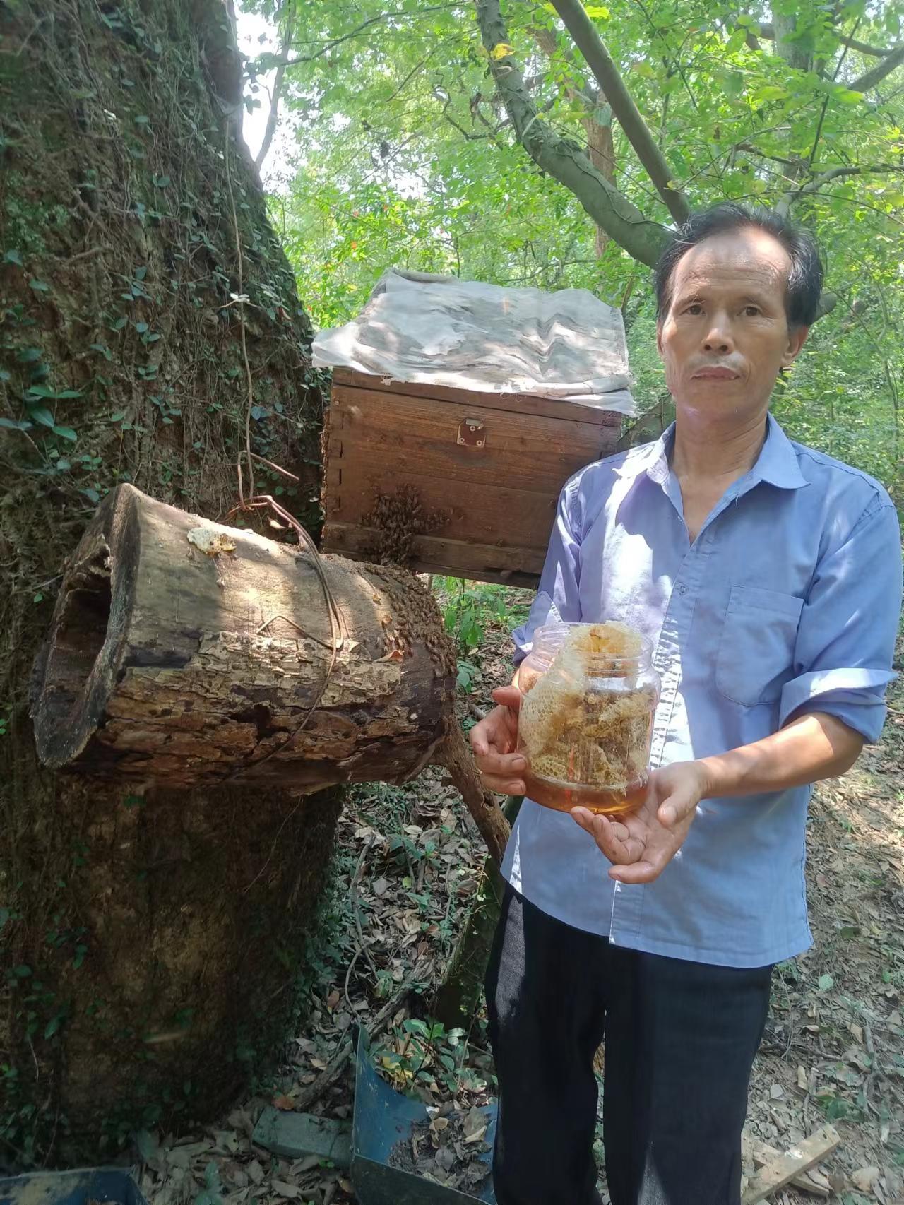 真正的土蜂蜜是多少钱一斤,正宗的土蜂蜜大概多少钱一斤2017