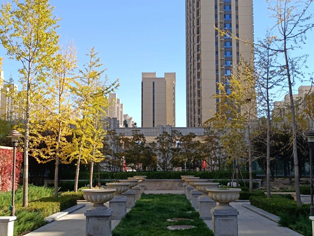 redminote11拍照效果,2亿级普通像素与5000万相机