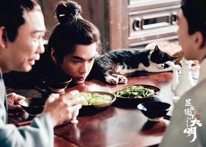 2023电视剧推荐9.0以上评分,好看的电视剧推荐国产2023