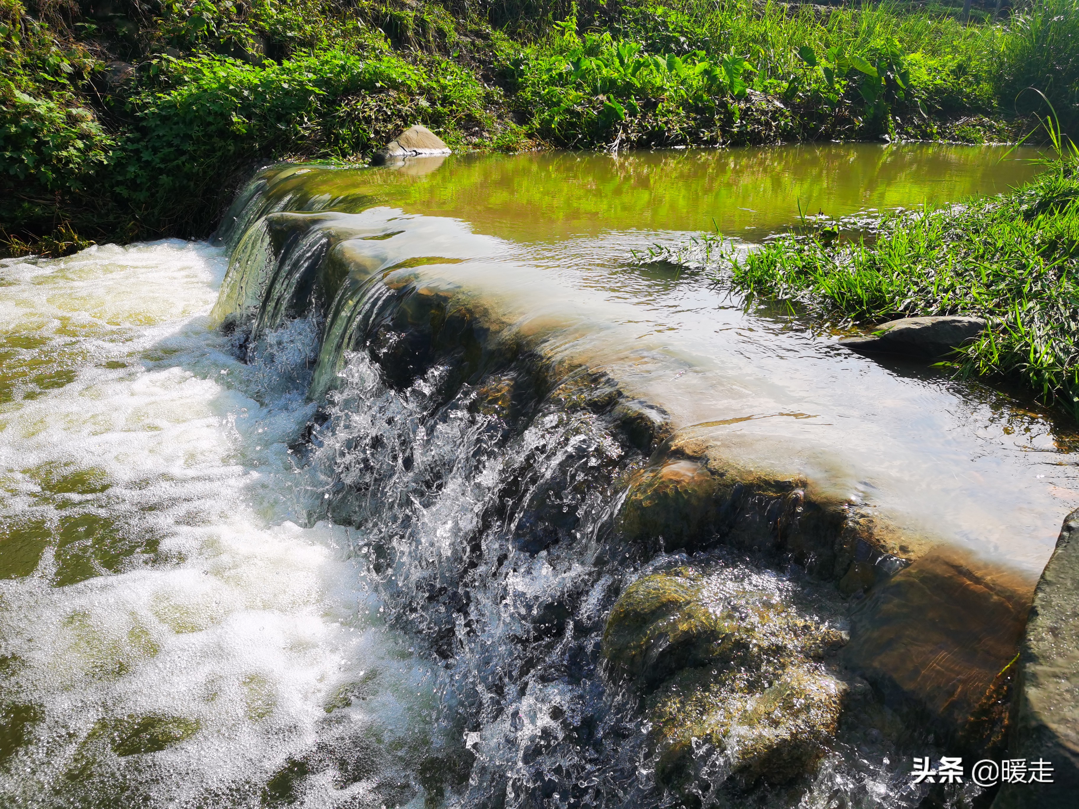 广西农民种田,乡村种田的生活视频