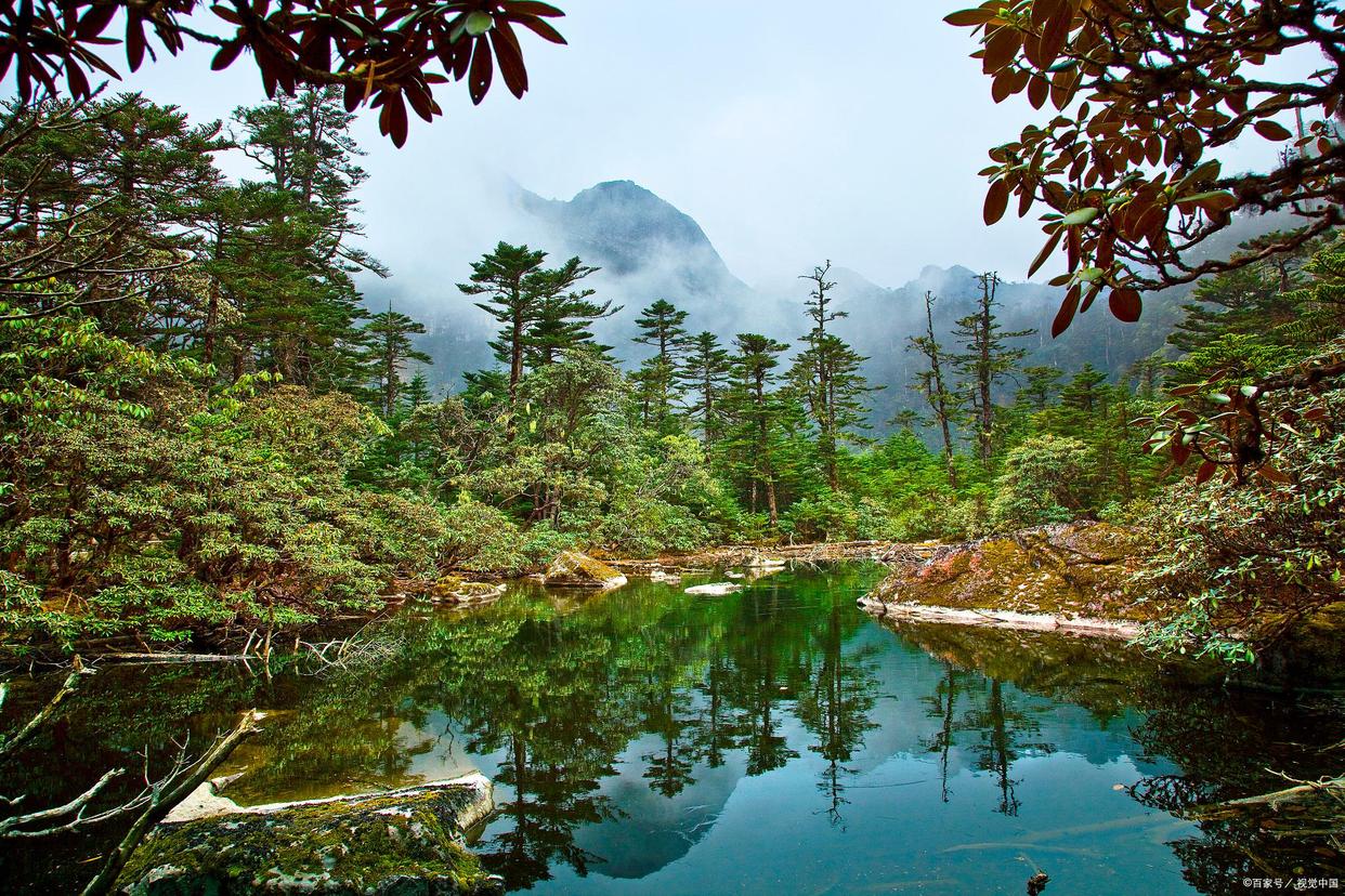 四川成都美食前十名全国有名小吃,外地人吃不习惯的四川特色美食