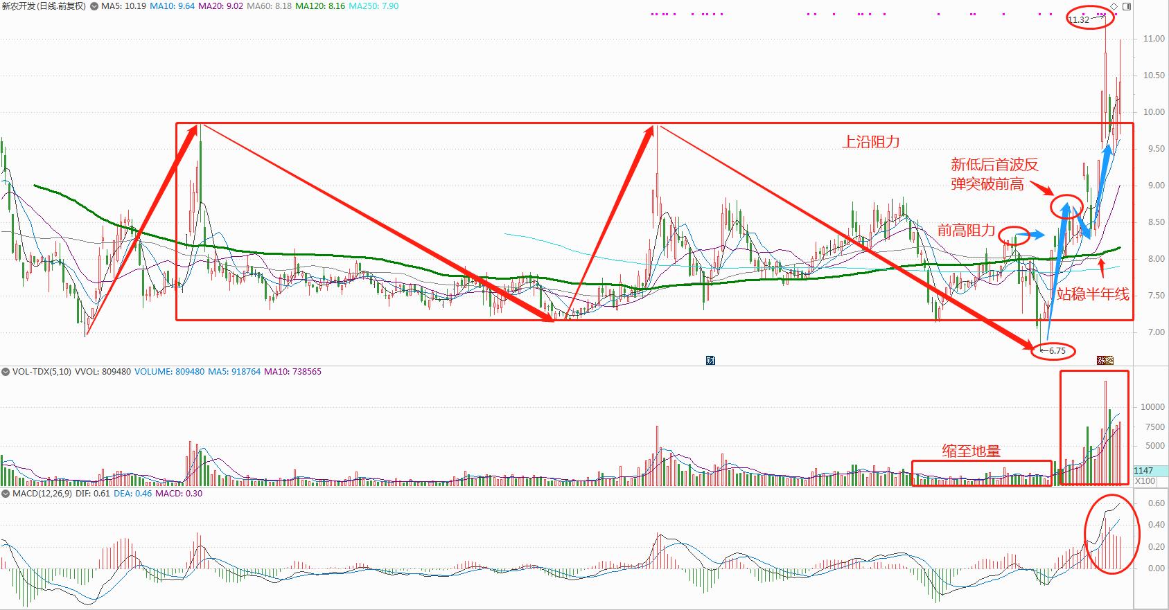 种业龙头股排名000998,种业龙头股有哪些股票可以买