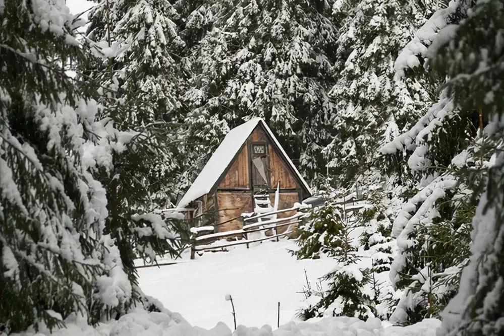 什么是复盘,什么是复盘股票