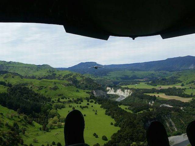 第一个用无人机拍到的鲸鱼,鲸鱼萤火虫