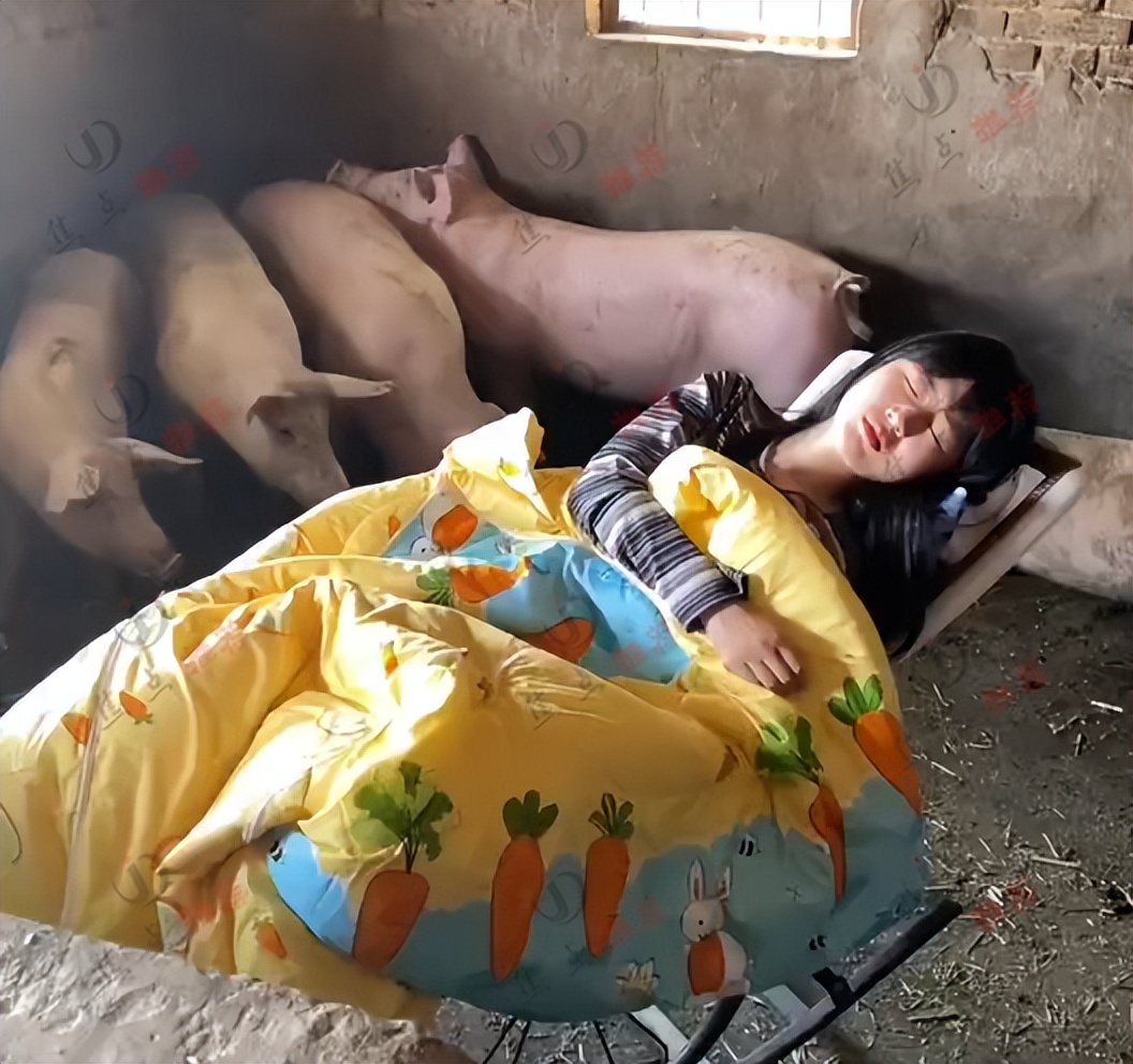 富家女下嫁农村小伙婚后生活,富家女子嫁给穷小子过苦日子