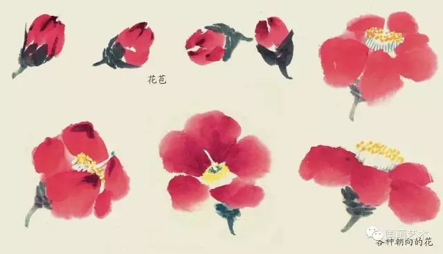 写意丁香花画法,写意鸡冠花的画法教程