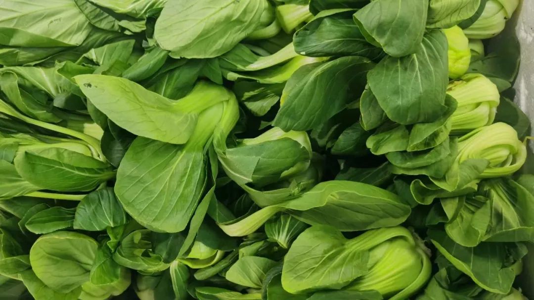 鸡肝的营养价值及食用方法,鸡肝的营养价值和保健功效