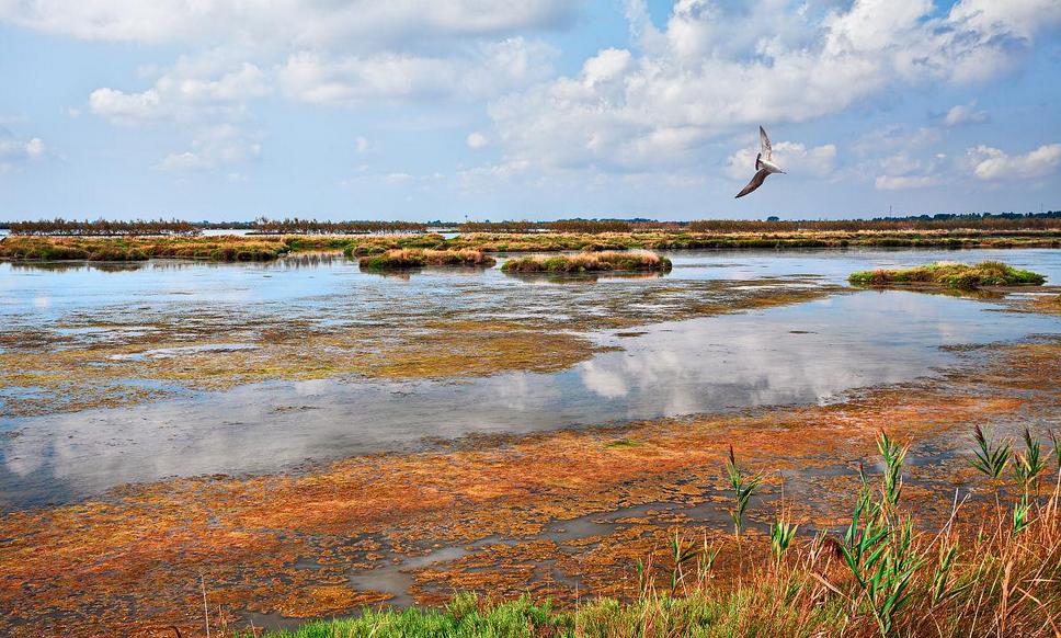 三角洲变化的视频,三角洲的形成和变化