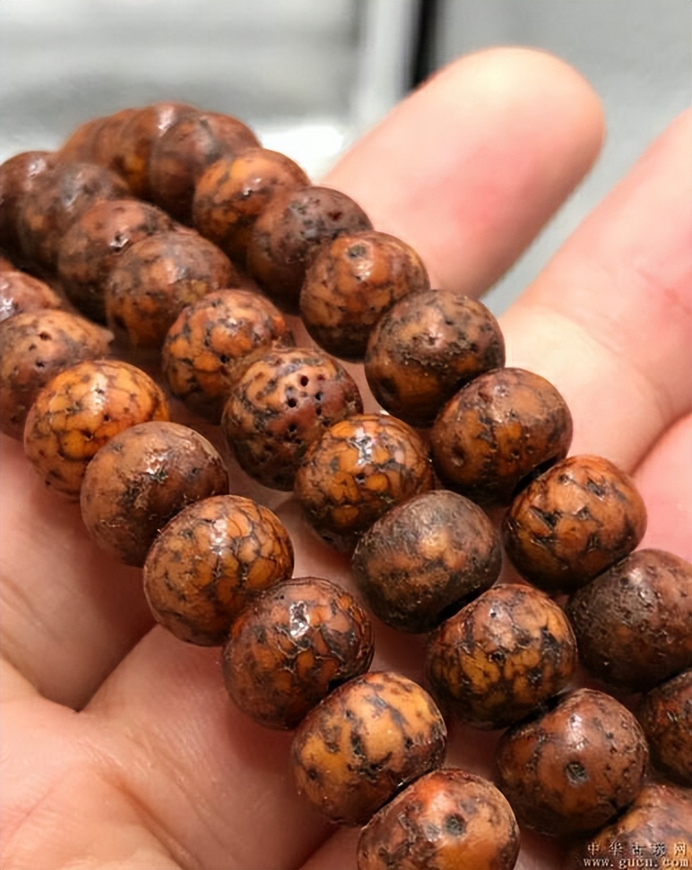 也许你真的不会盘星月菩提，星月盘玩5个步骤，你都做到了吗？