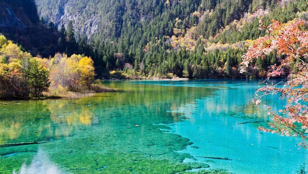 国内最刺激的八大景点,莱阳八大景点介绍