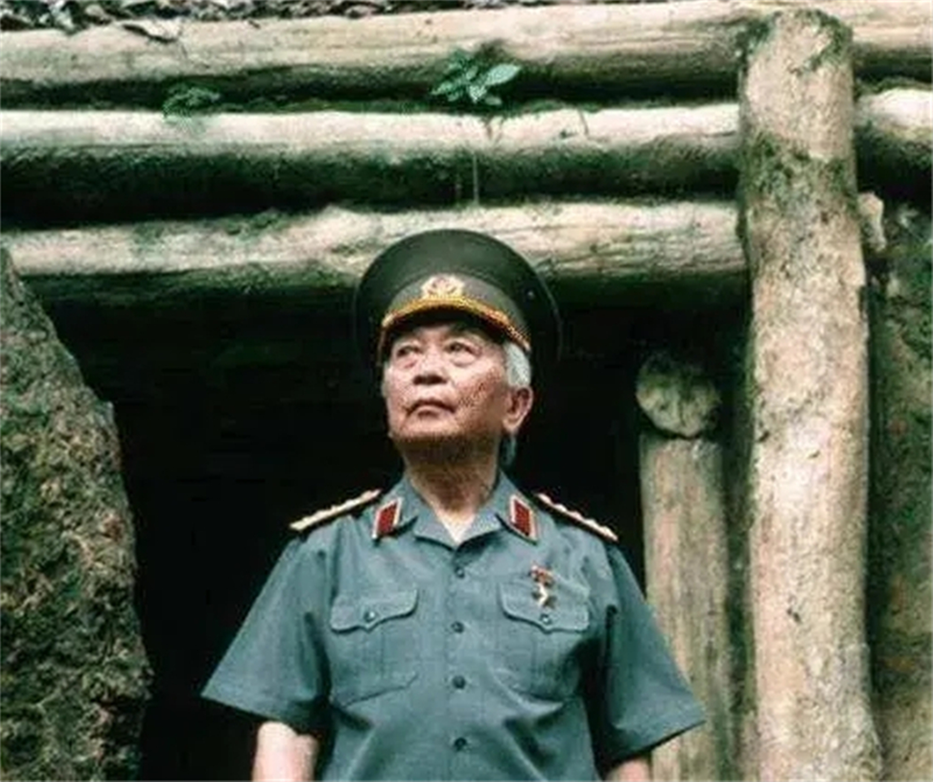 越南武元甲对解放军的评价,越南的武元甲怎样评价越战的