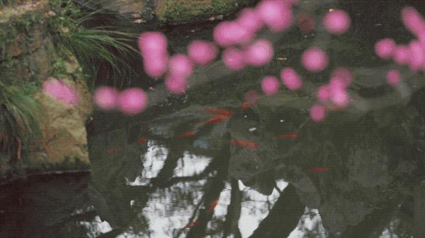 中国当代铜建筑之父是谁,中国铜建筑大师