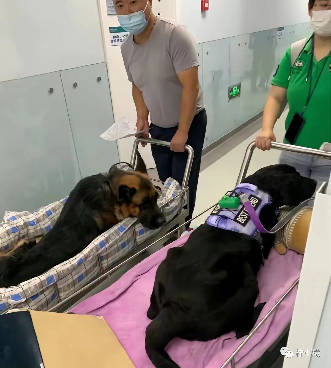 向女神表白最尴尬的事 (发消息向女神表白很久才回复)