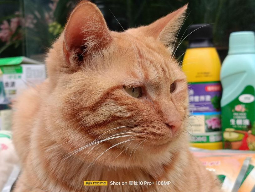 真我10pro手机曲面屏,真我10pro曲面屏评测