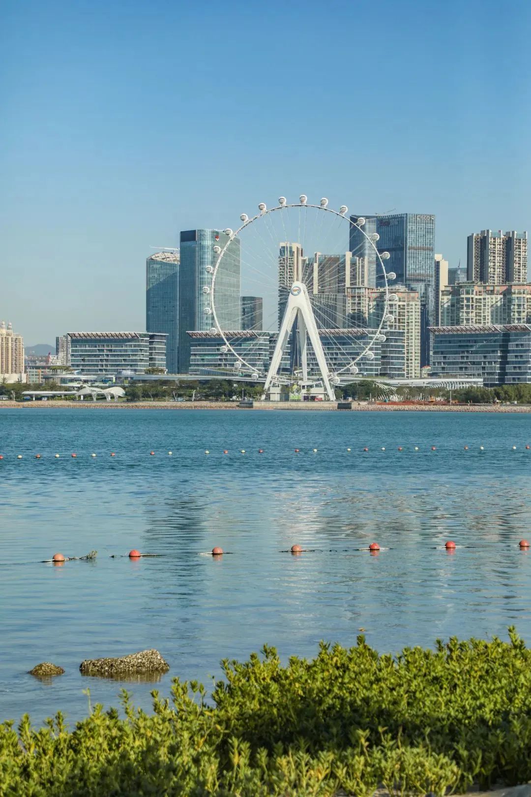 我为什么建议你来北上广深奋斗,我为什么建议你留在一线城市