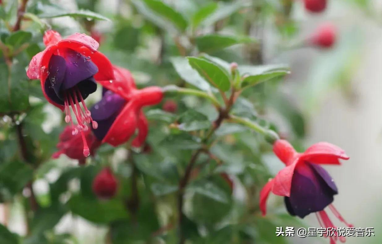 分享惊艳的图片,分享美景的图片卡点