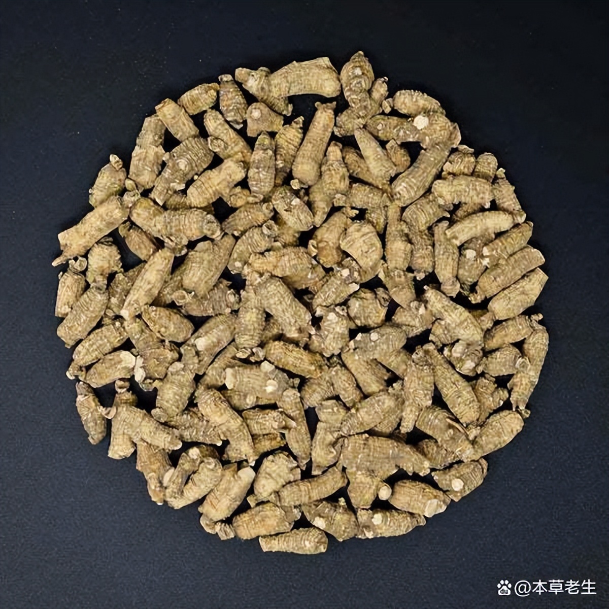 美国西洋参和中国西洋参有啥区别,美国产的西洋参好处是什么