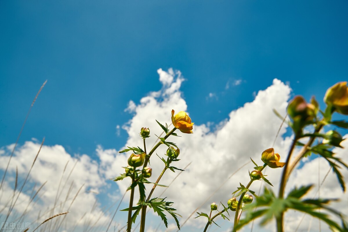 改变气质女人的6个好习惯,培养气质的100个好习惯
