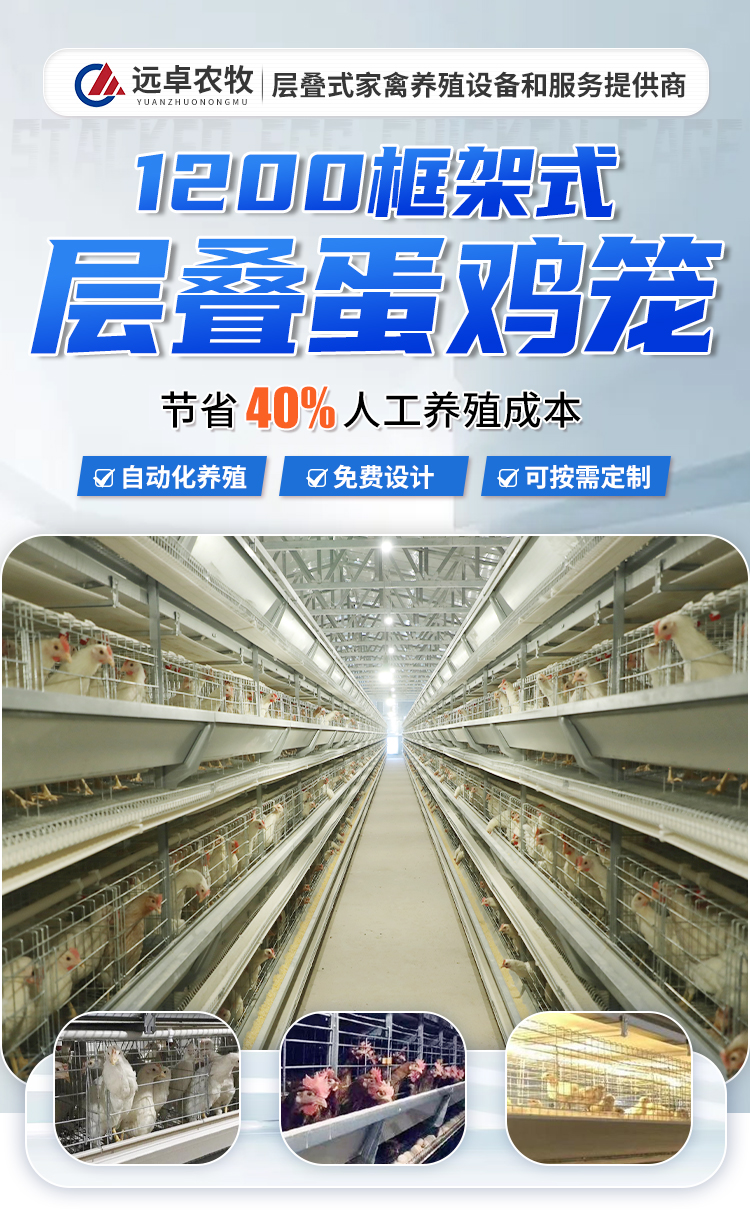 水帘使用一定要封闭式吗,鸡舍水帘的正确使用