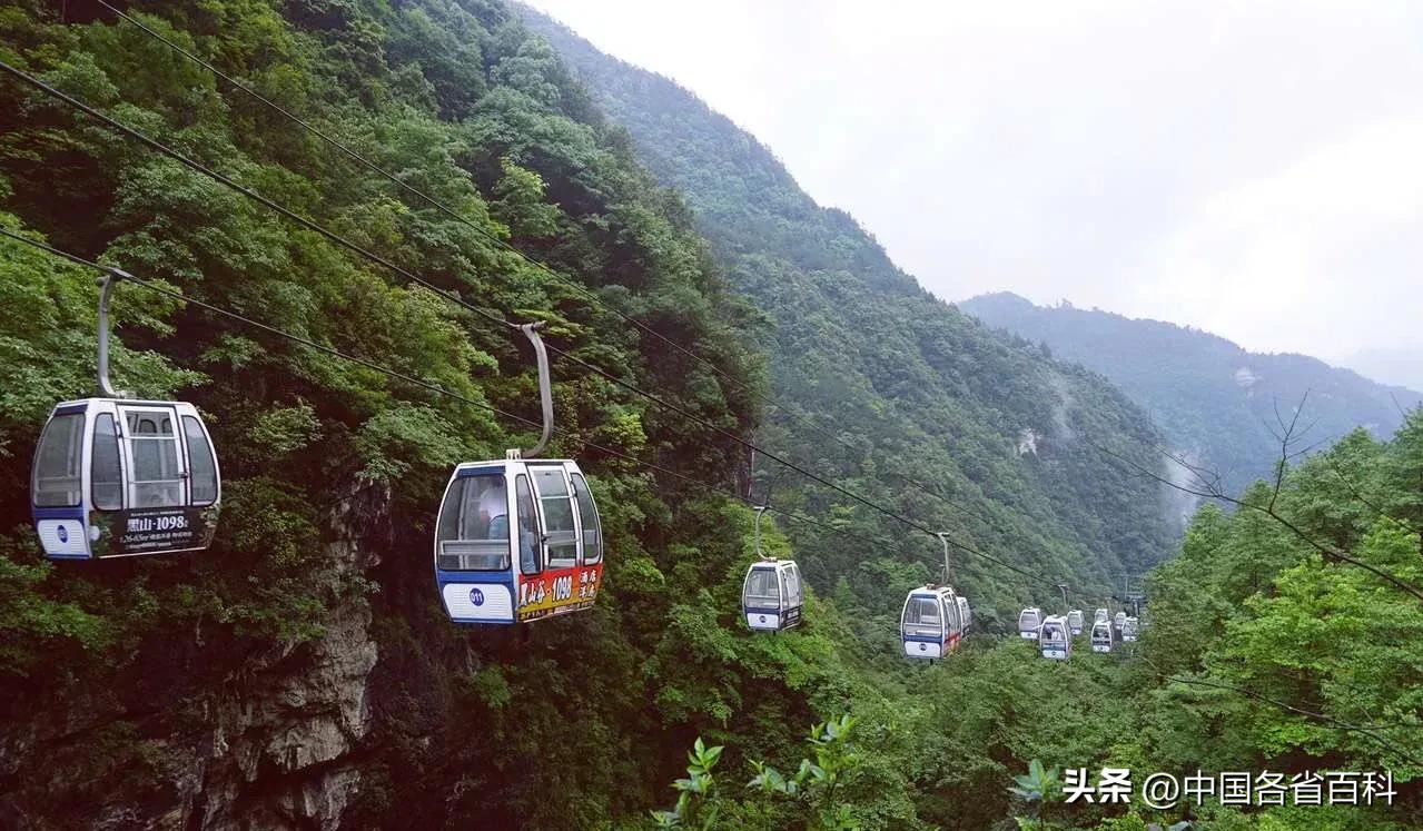 重庆市有多少个5a级景区,重庆九个五a景区排行榜最新