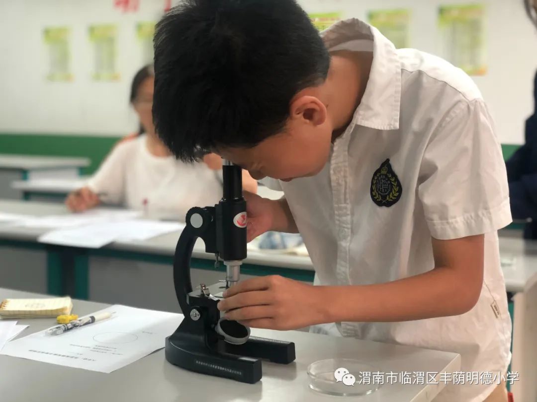 江苏省小学科学实验大赛,童心探科学逐梦创未来一等奖