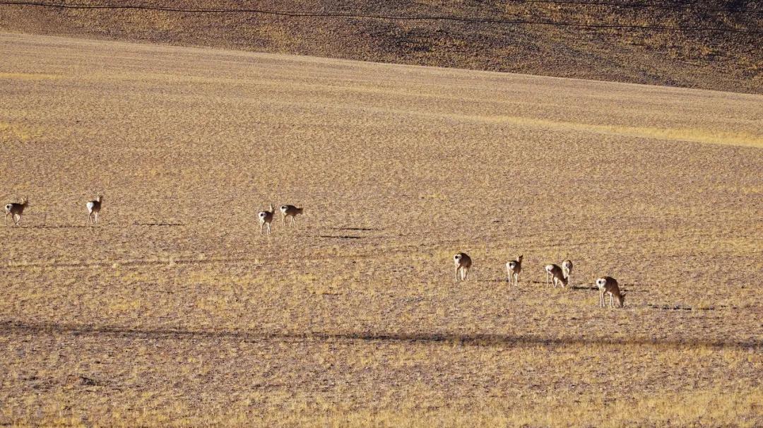 此生必驾318川藏需要多久到达,此生必驾的318到底有多美
