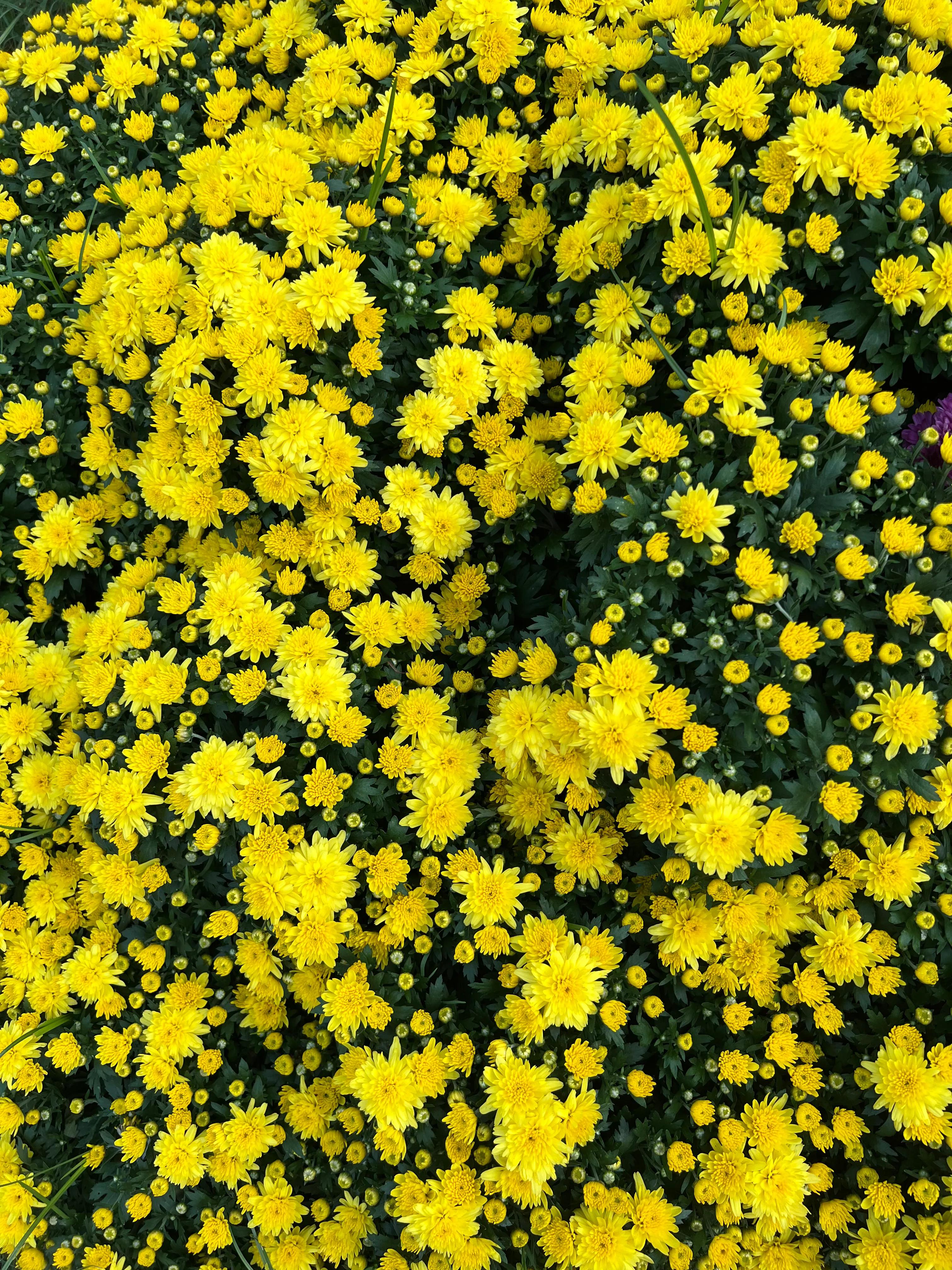 二十条负面清单,21条负面清单是哪些