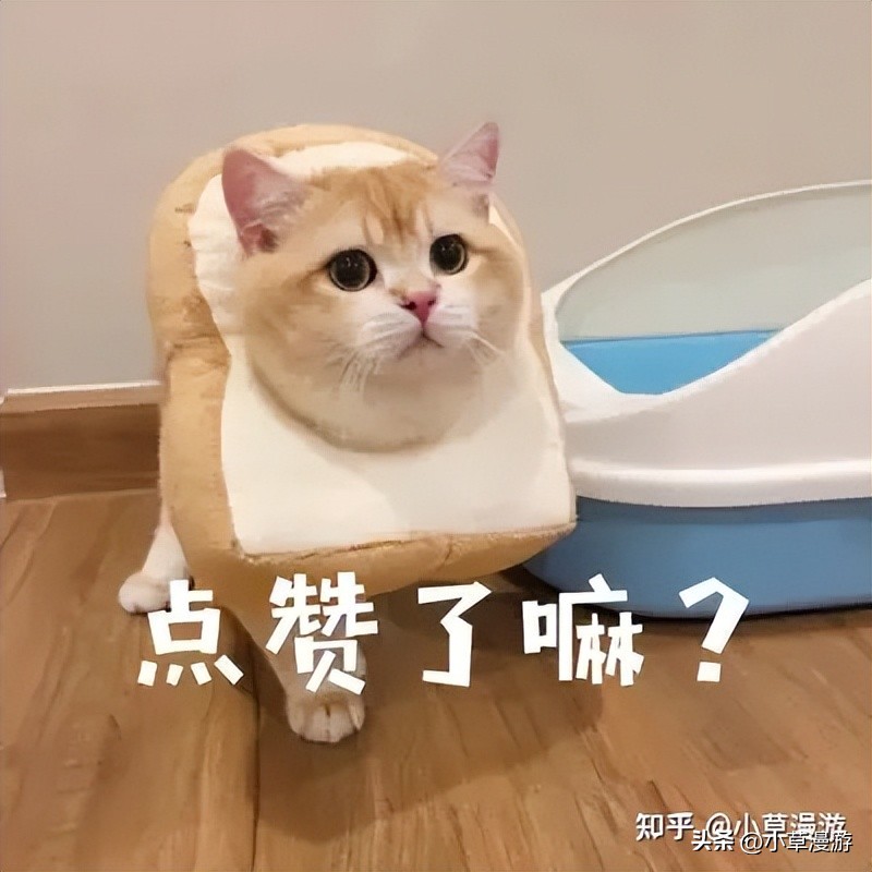 成都旅游攻略来了性价比高,超详细成都旅游攻略