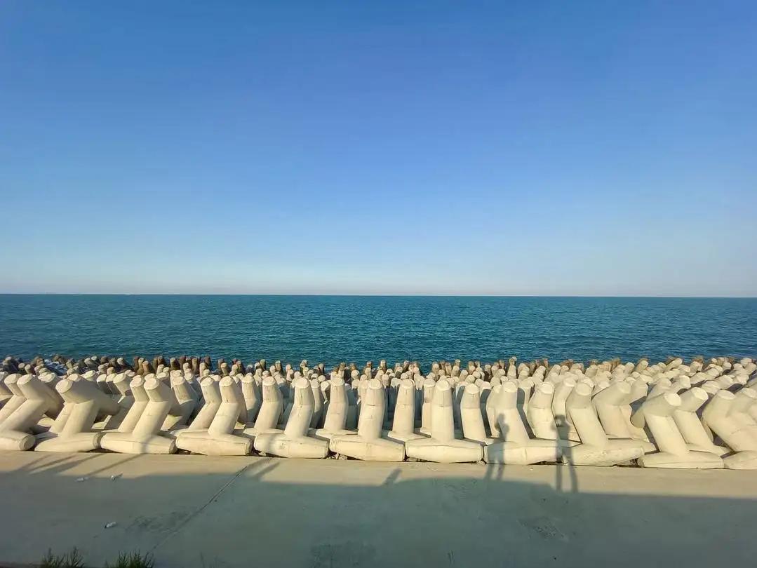 在东营五一假期应该去哪玩,东营人五一旅游攻略自由行