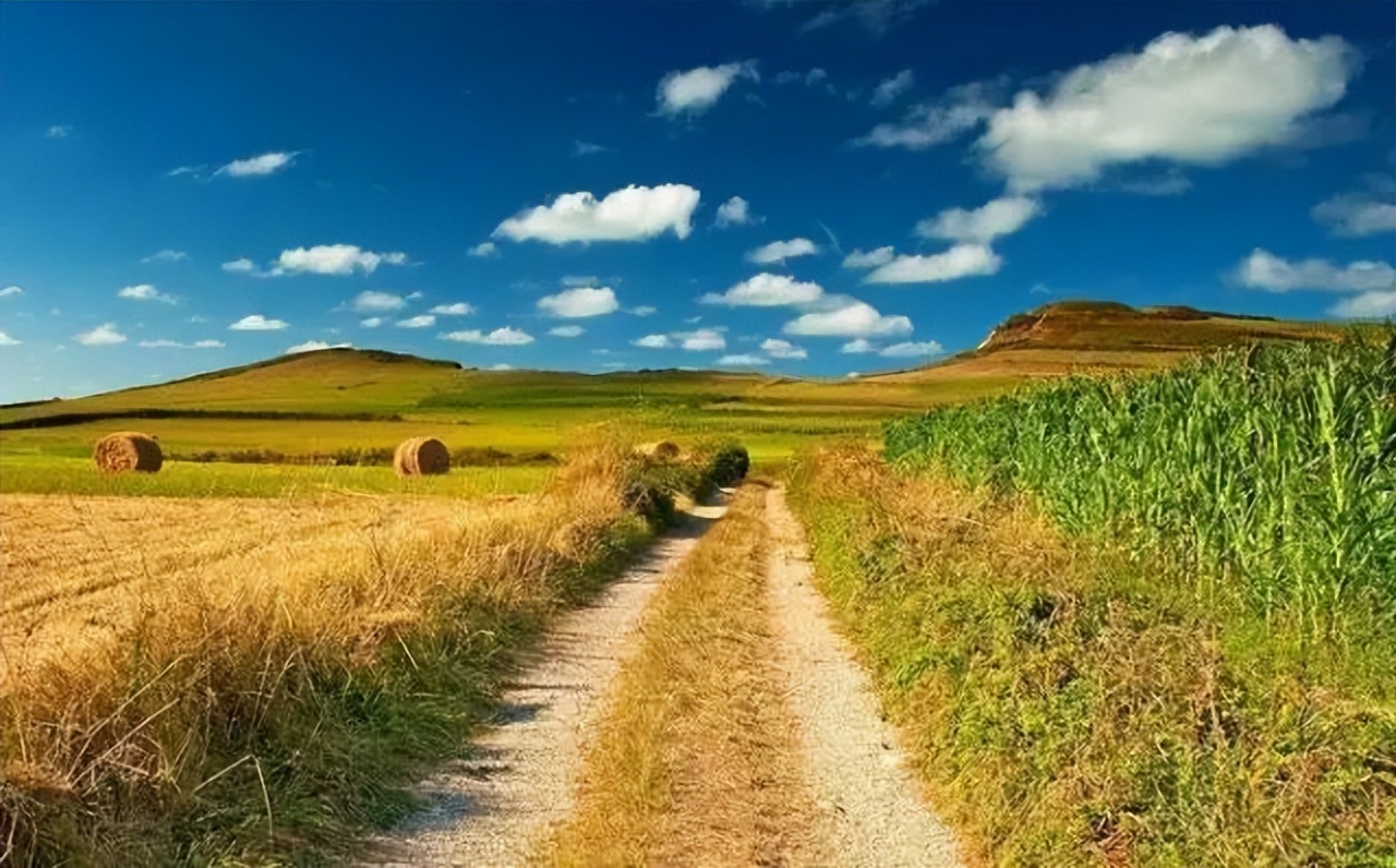 休闲农业可以开发哪些创意,休闲农业规划十大秘诀