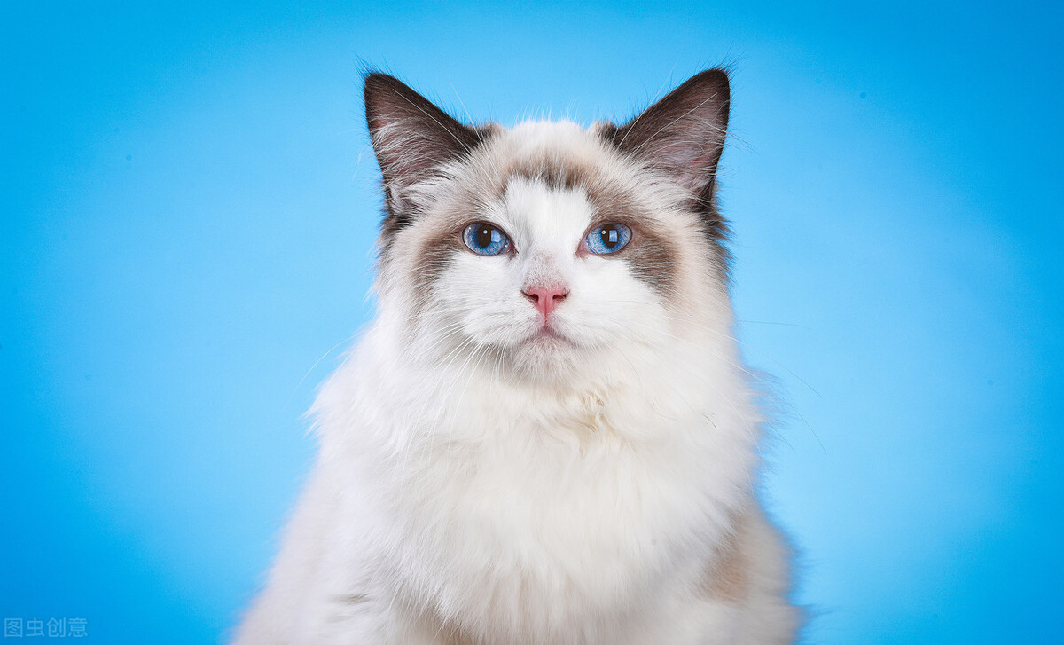 去味用什么方法最快,去味快速有效