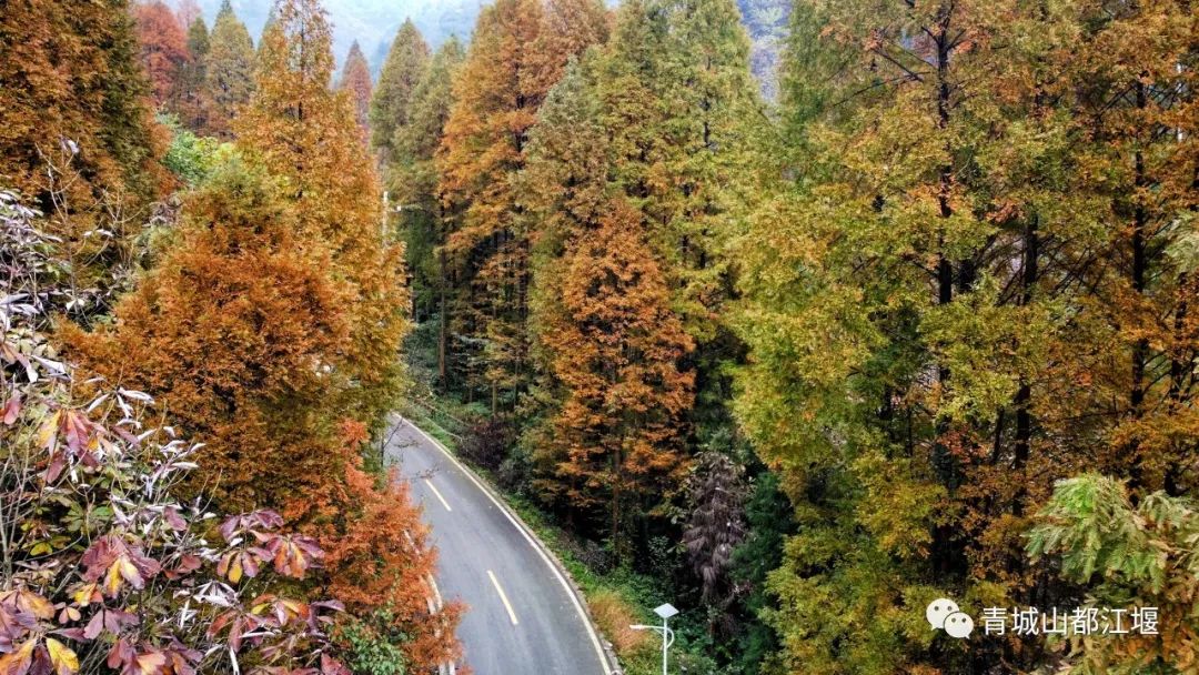 立冬气温仅13℃!快来领取都江堰专属的『入冬四件套』,品围炉暖食、享竹林温泉......成都1.5h直达~