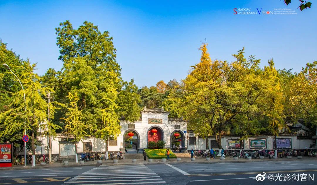 每一片银杏都不会辜负秋天,银杏从来不负秋原唱