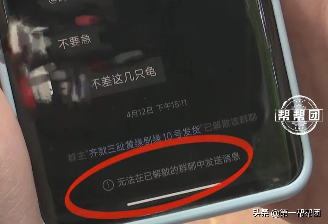 鐢峰瓙缇ら噷涔板崠鍥藉淇濇姢鍔ㄧ墿,鐢峰瓙璐╁崠鍥藉浜岀骇淇濇姢鍔ㄧ墿