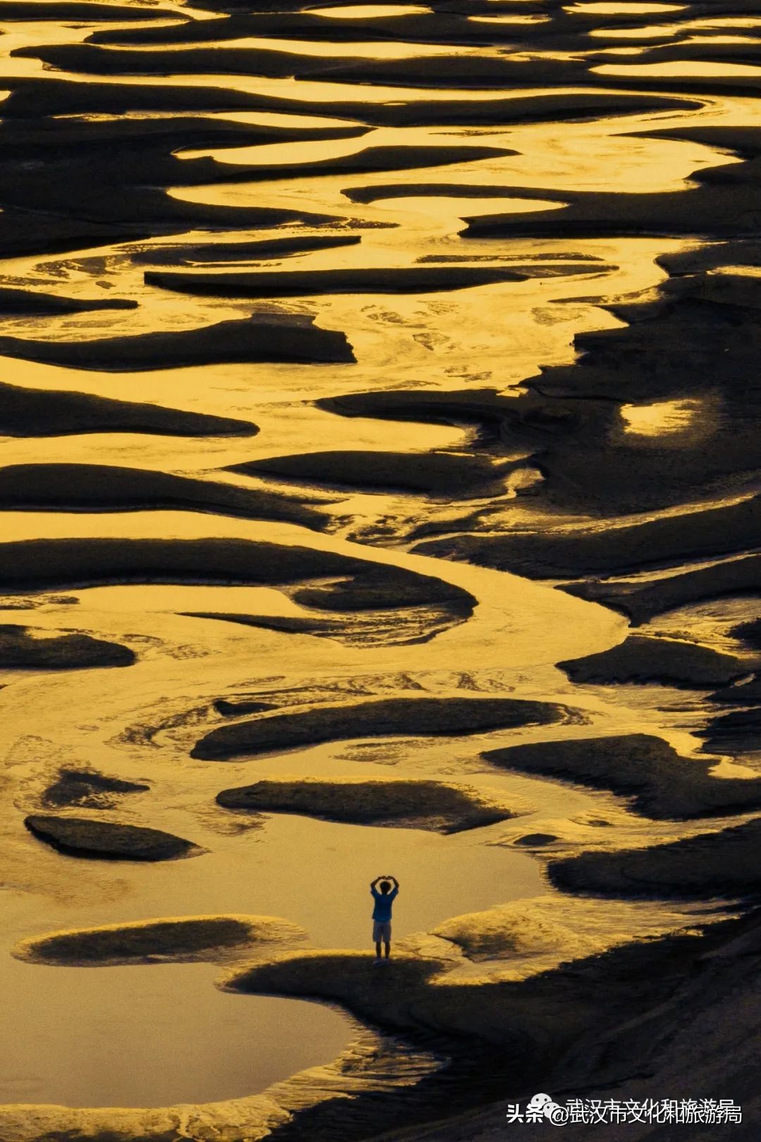 武汉不花钱看樱花地点,来武汉一定要看两坝一峡登黄鹤楼