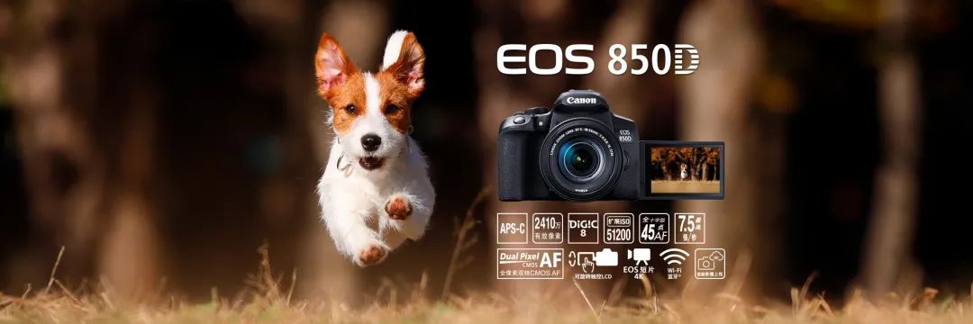 佳能初级相机最新型号是哪款,佳能数码单反相机的型号及价格