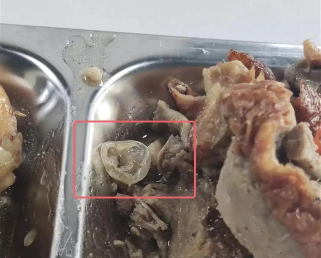 广州一职校食堂吃出胶制异物,广州职校食堂吃出胶制异物