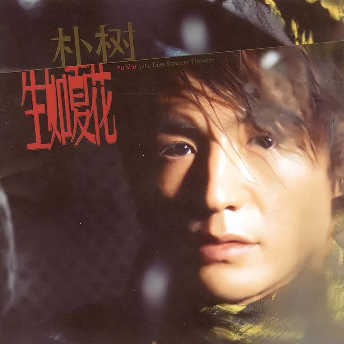 朴树有多低调,男明星朴树