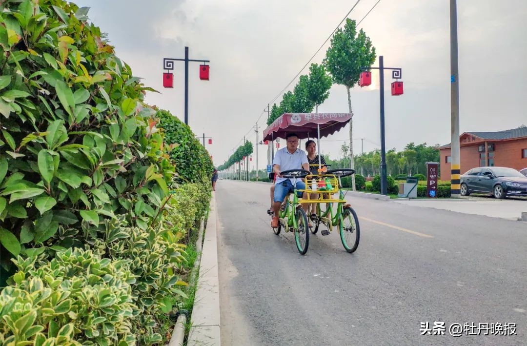 菏泽牡丹一日游全攻略,菏泽牡丹游玩攻略路线推荐
