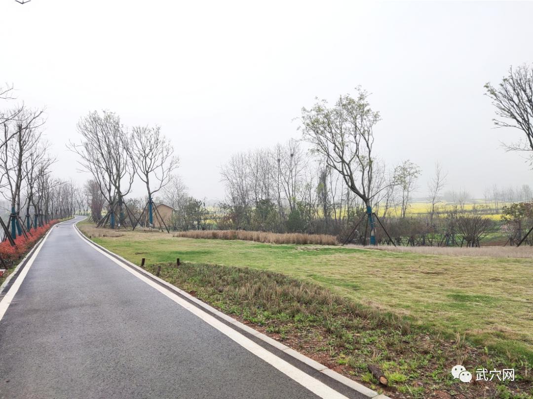 搭好党群连心桥,武穴最新引资项目