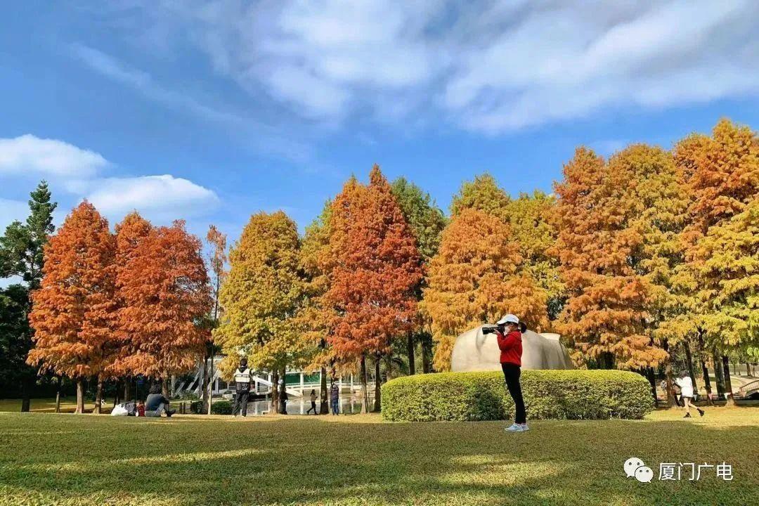 升！升！升！周末去这些地方打卡→