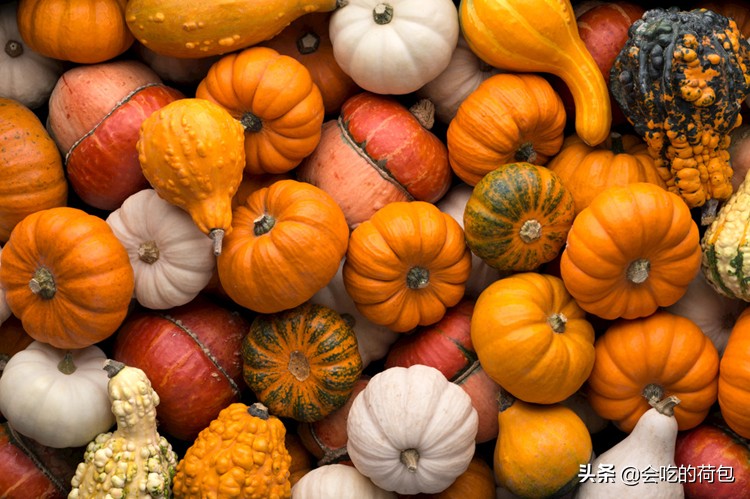 小满后适合吃什么,小满时期老人营养均衡吃什么