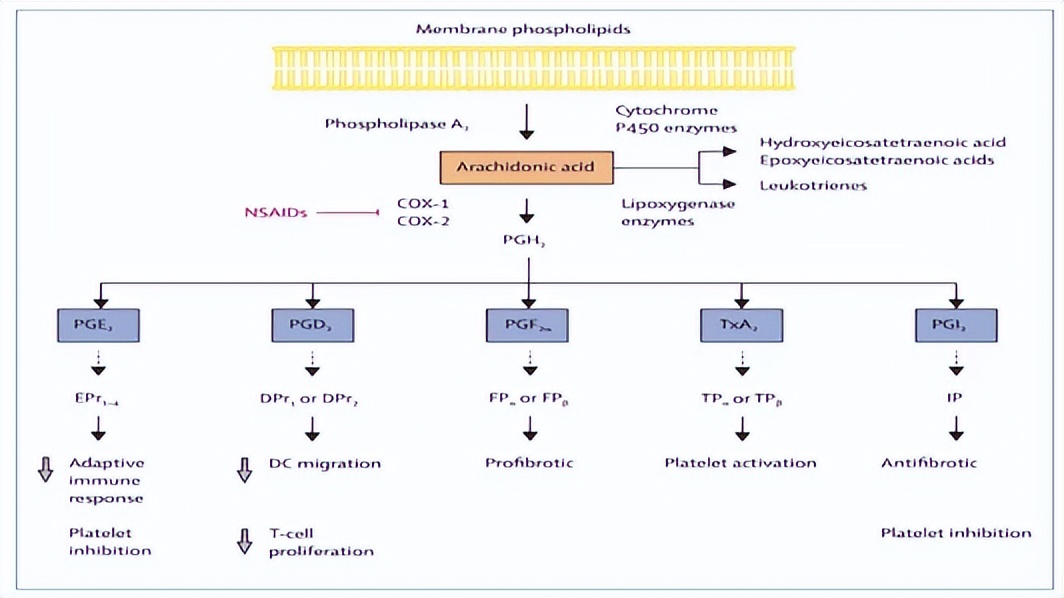 感染新冠病毒后有哪些后遗症,感染新冠病毒后怎么缓解止疼