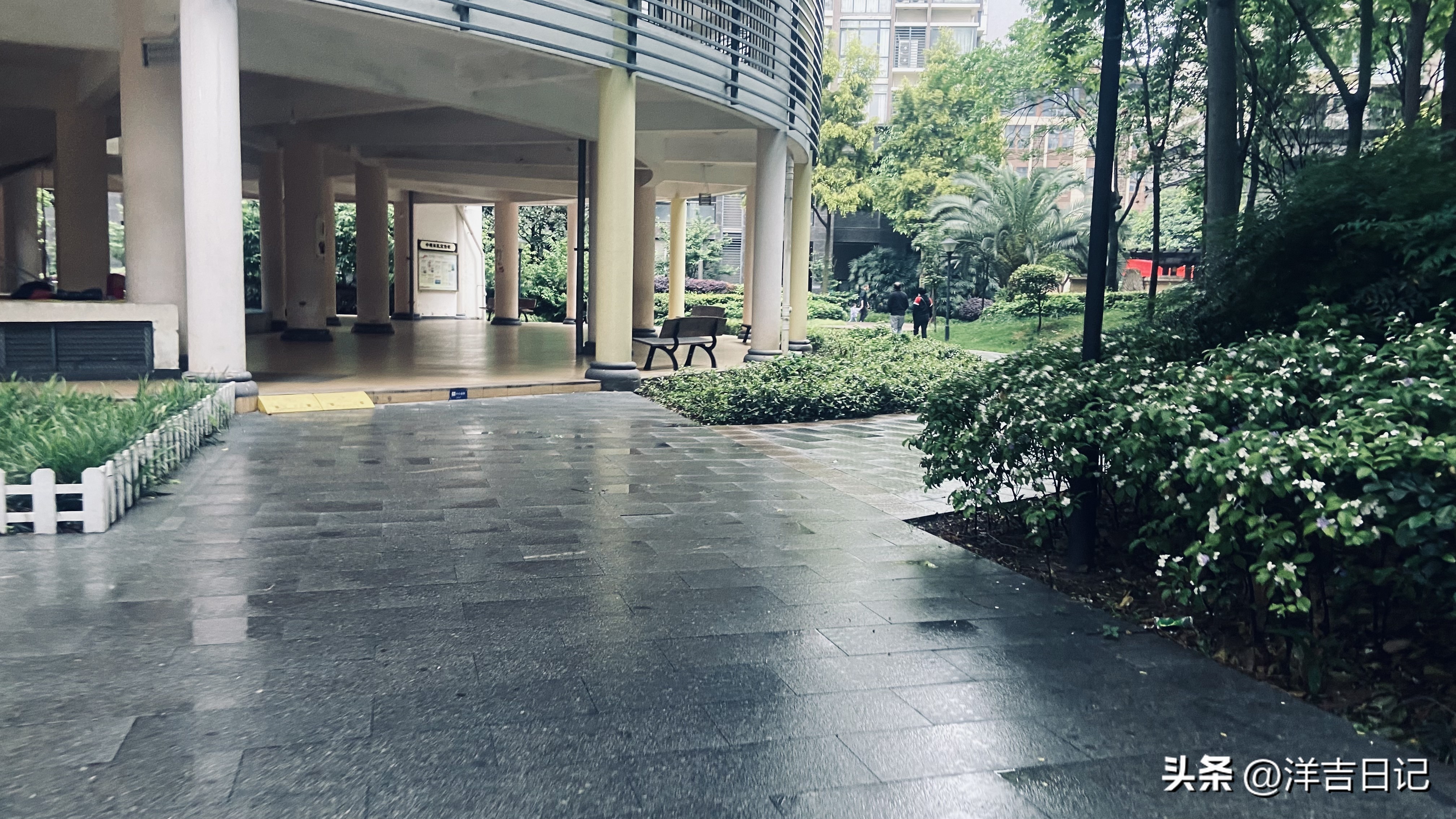 洋吉日记2023.4.28（花的意义？）