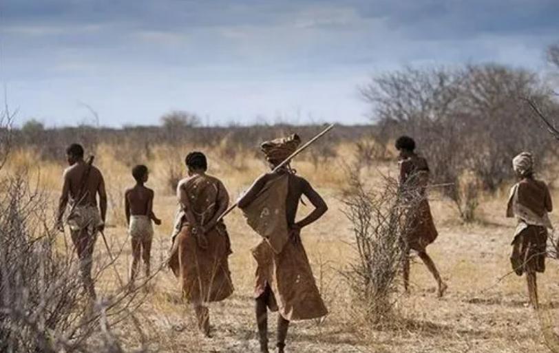 人类的祖先真的是亚当和夏娃吗,人类进化论的化石证据