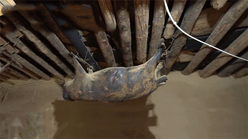 四川放几十年的臭猪肉,四川挂墙上的臭猪肉