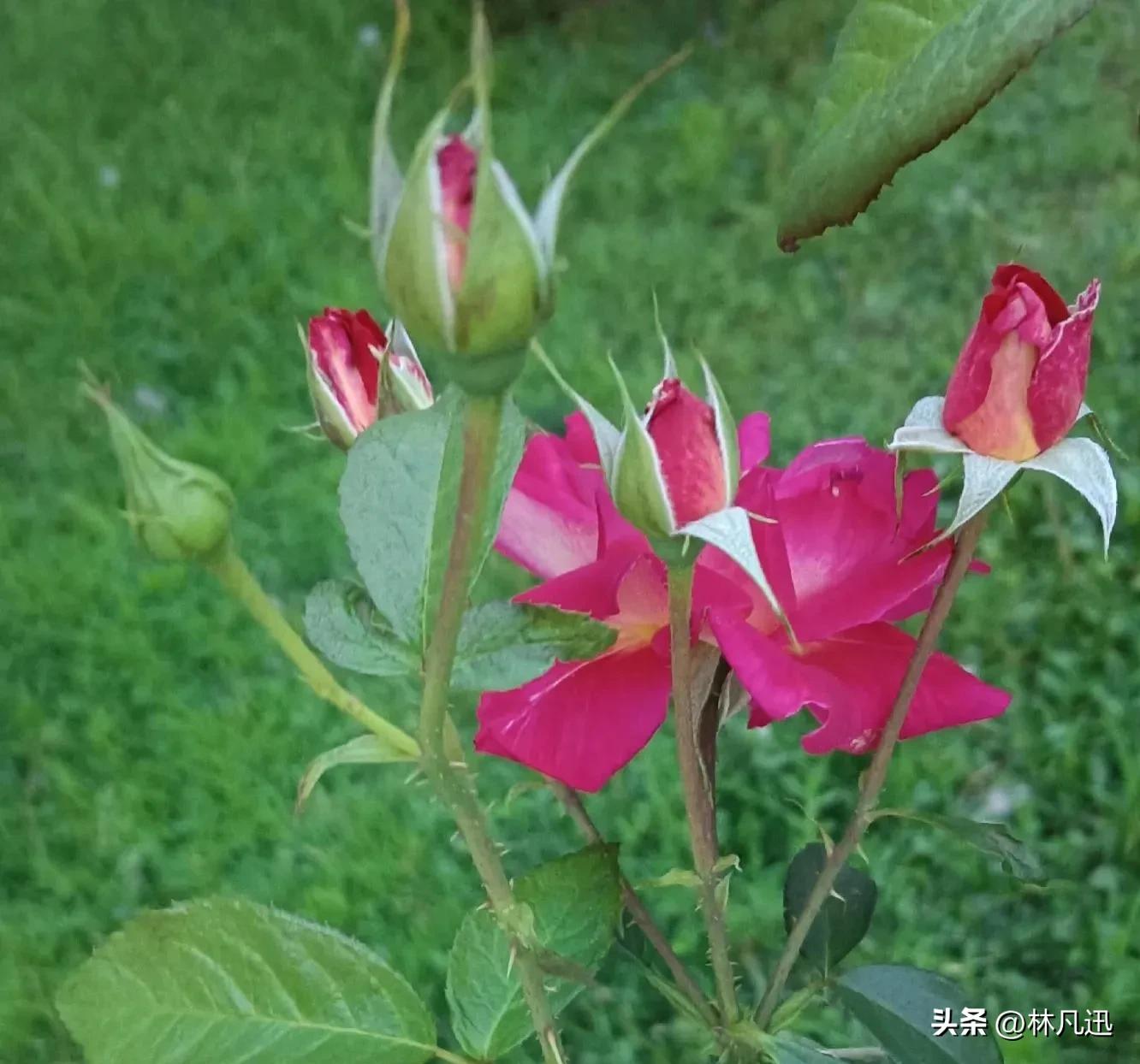 伯乐和千里马之间的关系,伯乐与千里马创业