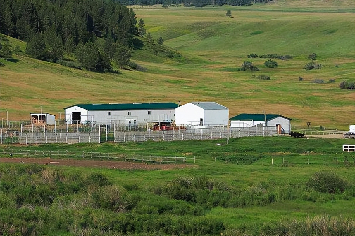 买美国农产品可以减持美债吗 (清空美债是什么)